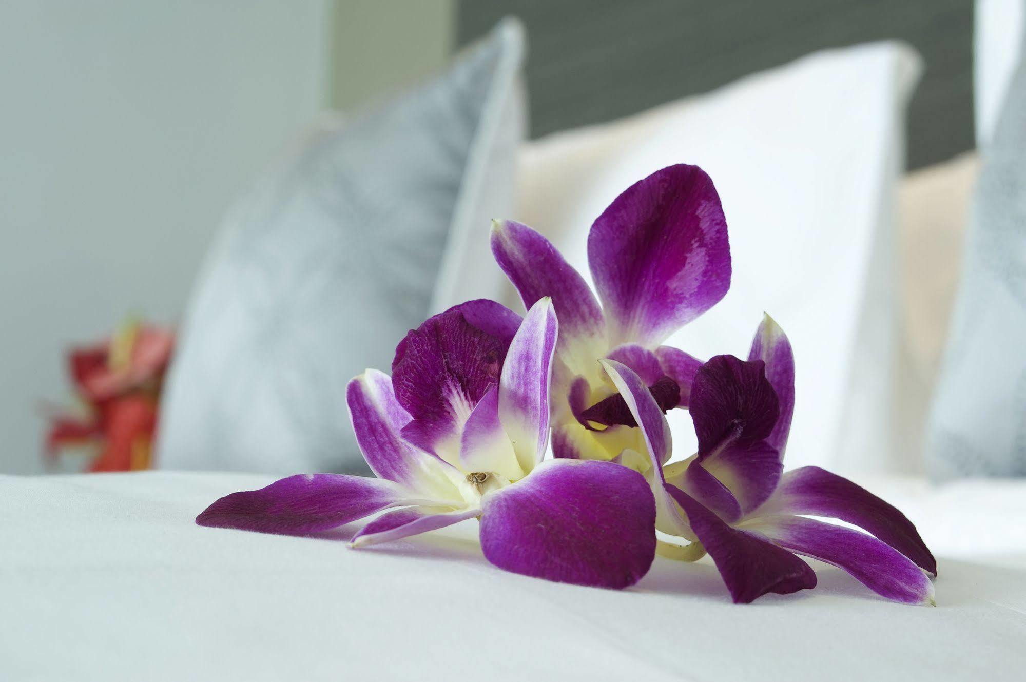 Hotel Ibis Semarang Simpang Lima Luaran gambar